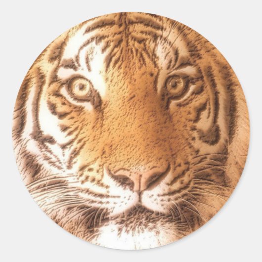 Rond Tiger - Sticker (Devant)
