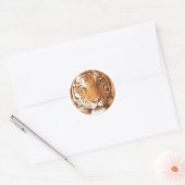 Rond Tiger - Sticker (Enveloppe)