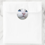 Rond Tom Sticker (Sac)