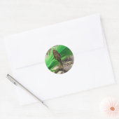 Rond Vous Suck Sticker ! ! ! (Enveloppe)