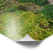 Ronda Gorge, Spanje Foto Afdruk (Hoek)