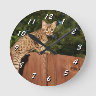 Ronde 12 Nombre de choix à choisir : horloge de chat