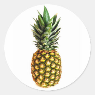 Ronde anananasstickers sticker