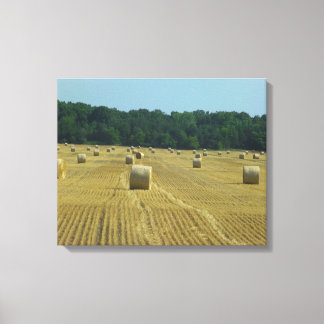 Ronde balen canvas afdruk
