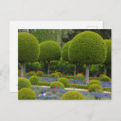 Ronde Briefkaart (Voorkant / Achterkant)