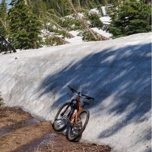 Ronde Button, grote, 4 inch Ronde Button 4,0 Cm