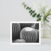 Ronde Cacti-Briefkaart Briefkaart (Staand voorkant)
