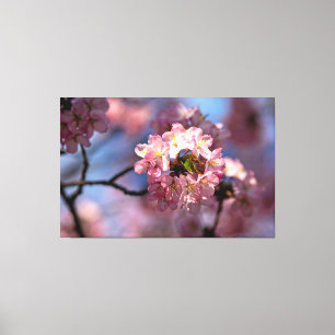 Ronde cluster van kersenbloesems in bloei canvas afdruk