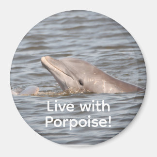 ronde dolfijnmagneet magneet