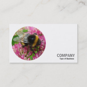 Ronde foto - Bumble Bee Visitekaartje