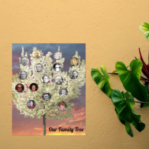 Ronde foto's met witte bloesemboom en zonsondergan poster