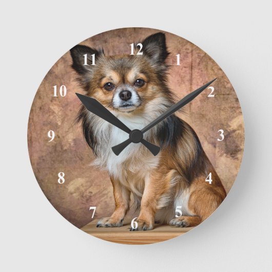 Ronde Horloge Chihuahua (Recto)