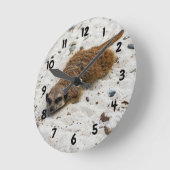 Ronde Horloge Chillin' Meerkat (Angle)
