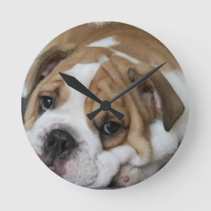 Ronde Horloge de bouledogue de sommeil