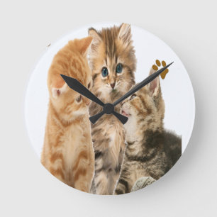 Ronde horloge de chatons