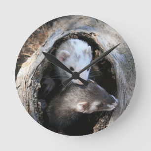 Ronde Horloge de copains