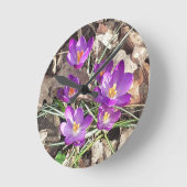 Ronde Horloge de crocus pourpre (Angle)