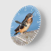 Ronde Horloge de la grange Swallow (Angle)