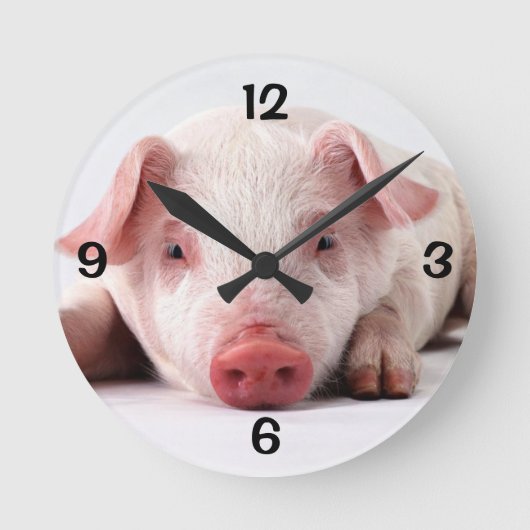 Ronde Horloge de la paroi ronde/Pig (Recto)