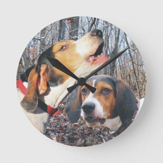 Ronde Horloge de région boisée de Coonhound de marcheur (Recto)