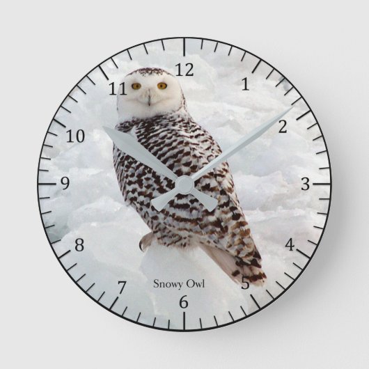 Ronde Horloge de Snowy Owl (Recto)