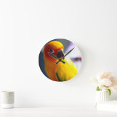 Ronde Horloge de Sun Conure (Maison)
