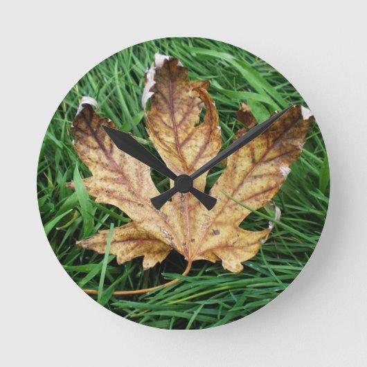 Ronde Horloge des feuilles d'automne (Recto)