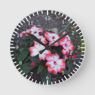 Ronde Horloge des volets roses