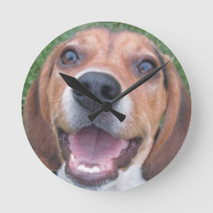 Ronde Horloge faite face de chiot de beagle
