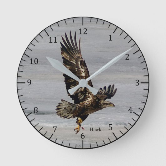 Ronde Horloge Hawk (Recto)