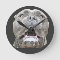 Horloge Mastiff de Cane Corso