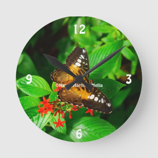 Ronde Horloge Papillon (Recto)