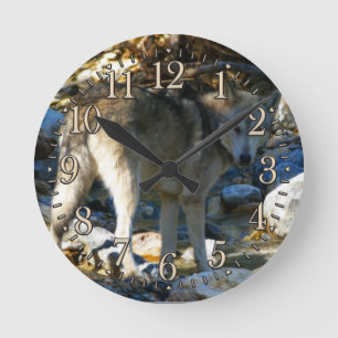Ronde Horloge photo Gray Wolf & Stony Creek