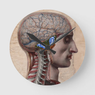 Ronde Horloge principale d'anatomie