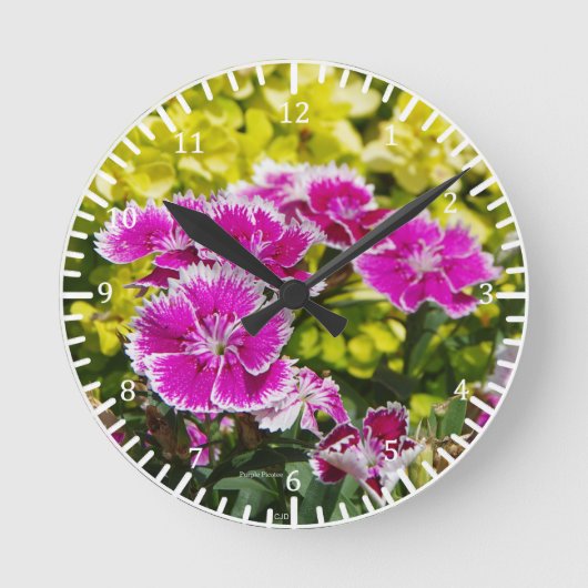 Ronde Horloge Purple Picotee (Recto)