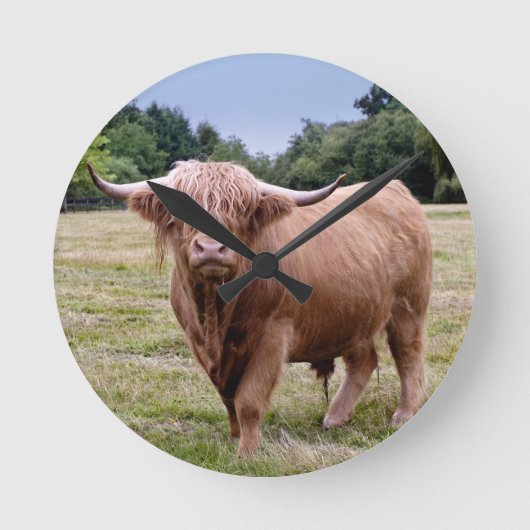 Ronde Horloge Vache des Highlands (Recto)