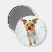 Ronde magneet (Voorkant / Achterkant)