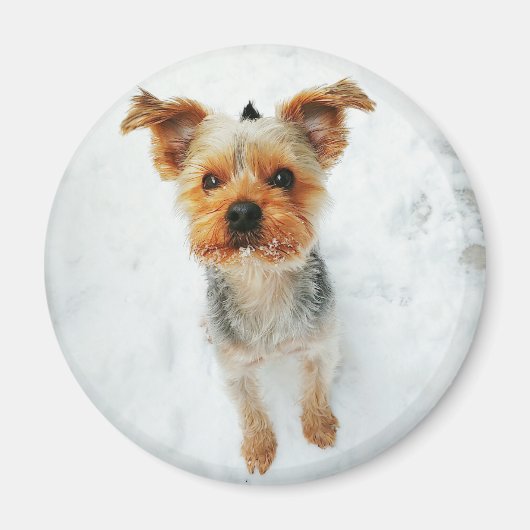 Ronde magneet (Voorkant)