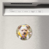 Ronde magneet (Insitu (Vaatwasser))