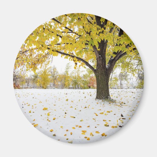 Ronde magneet (Voorkant)