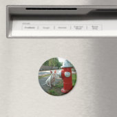 Ronde magneet (Insitu (Vaatwasser))