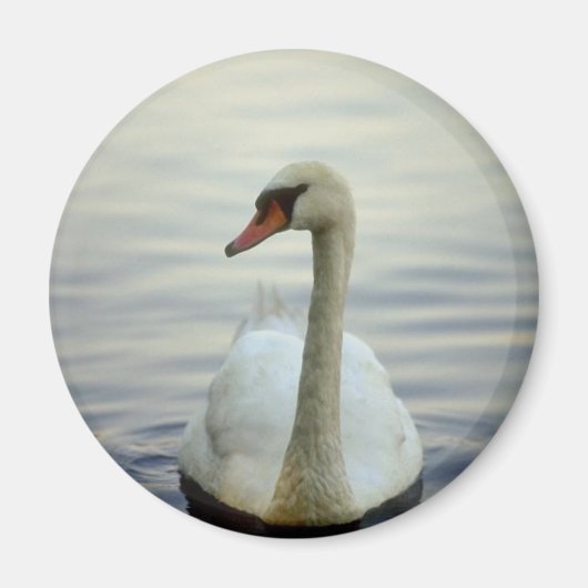 Ronde magneet (Voorkant)