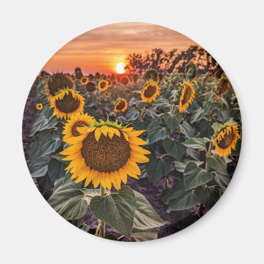 Ronde magneet (Voorkant)