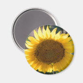 Ronde magneet (Voorkant / Achterkant)