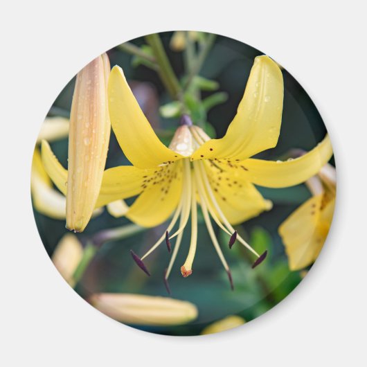 Ronde magneet (Voorkant)