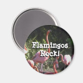 Ronde magneet (Voorkant / Achterkant)