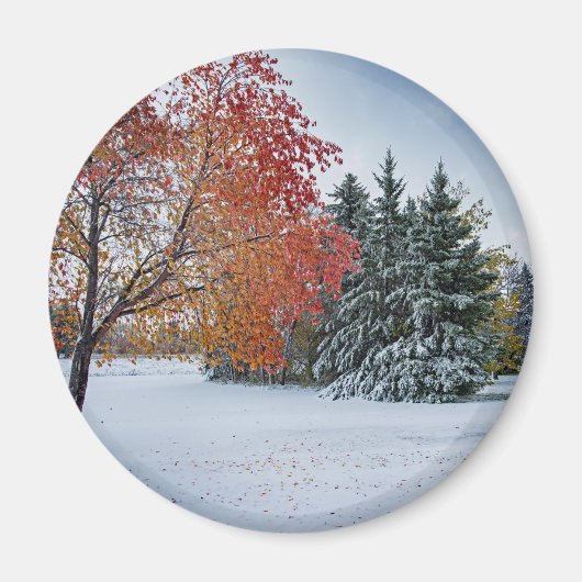 Ronde magneet (Voorkant)