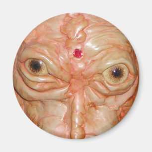 Ronde magneet, "bruine demon-ogen" magneet