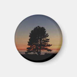 Ronde magneet met enkele boom silhouet zonsonderga