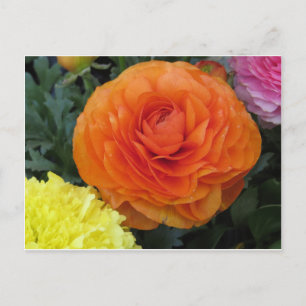 Ronde Oranje ventilator Briefkaart